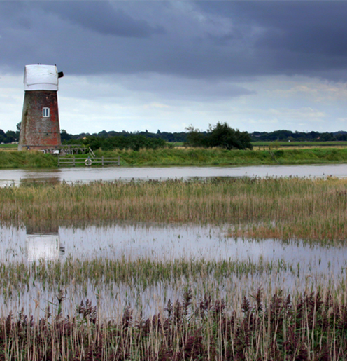 Norfolk
